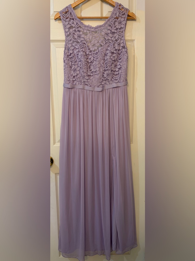 David's Bridal Lilac Lace Bodice Chiffon Gown